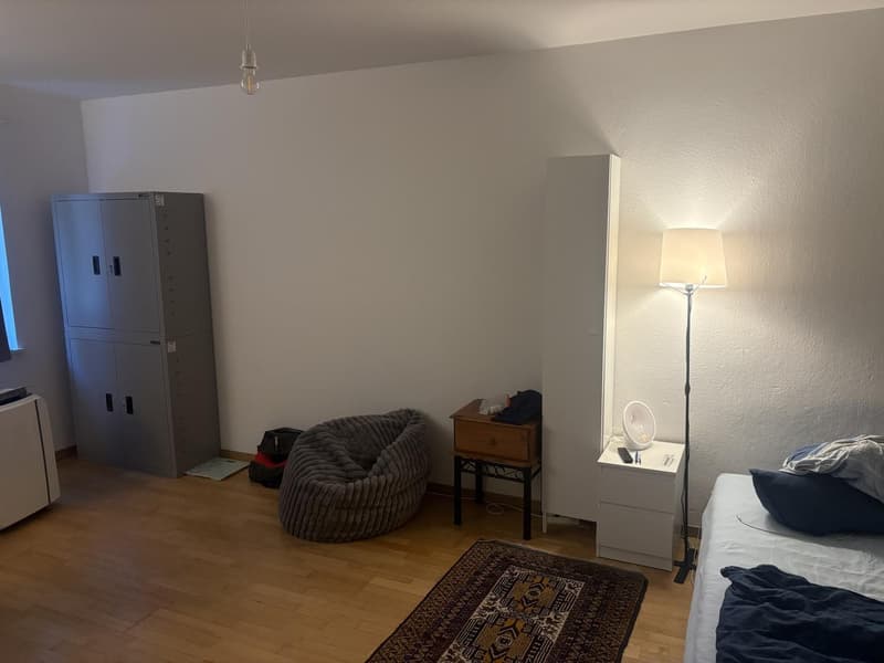 Gemütliche 3-Zimmer-Wohnung im Erdgeschoss an der Baslerstrasse, Zürich (4)