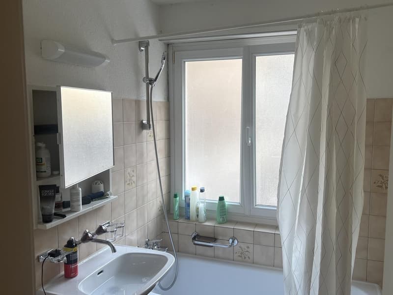 Gemütliche 3-Zimmer-Wohnung im Erdgeschoss an der Baslerstrasse, Zürich (5)