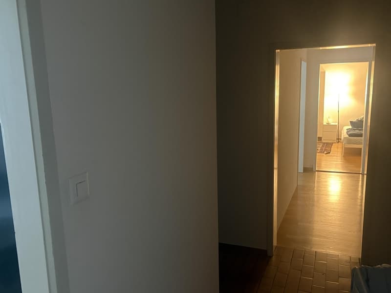 Gemütliche 3-Zimmer-Wohnung im Erdgeschoss an der Baslerstrasse, Zürich (6)