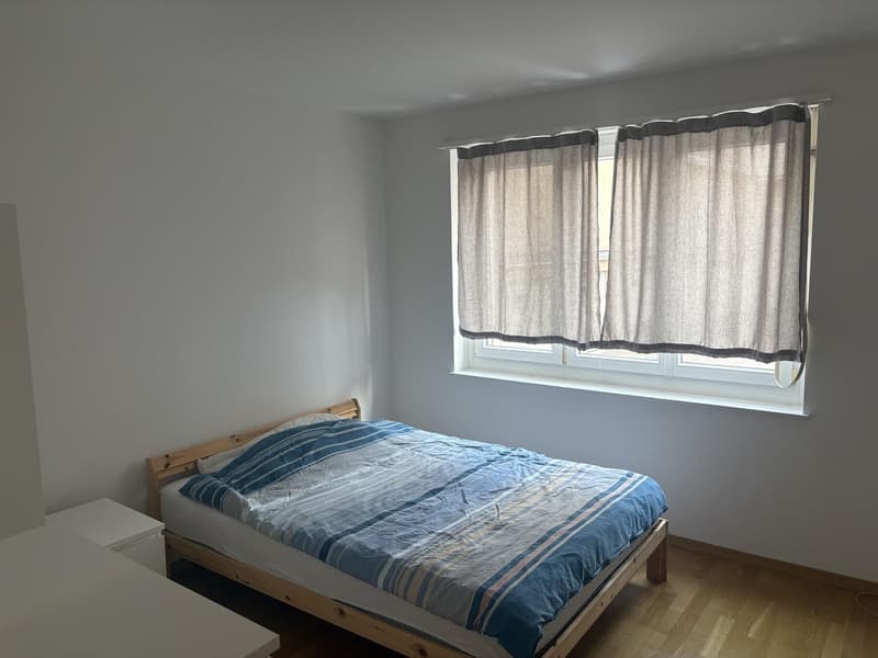Gemütliche 3-Zimmer-Wohnung im Erdgeschoss an der Baslerstrasse, Zürich (1)