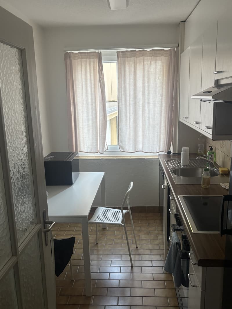 Gemütliche 3-Zimmer-Wohnung im Erdgeschoss an der Baslerstrasse, Zürich (2)