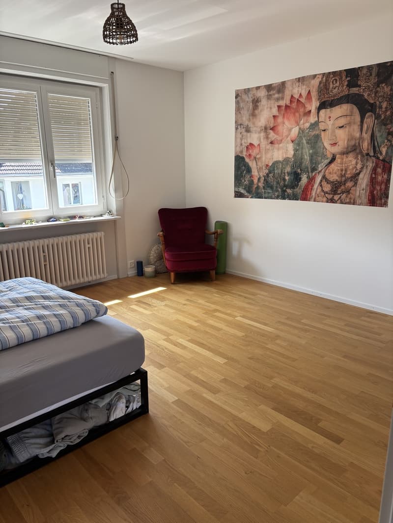 Mitbewohnerin gesucht! (6)