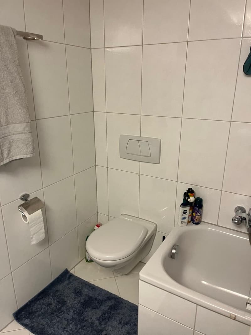 2ZimmerMaisonettewohnung (10)