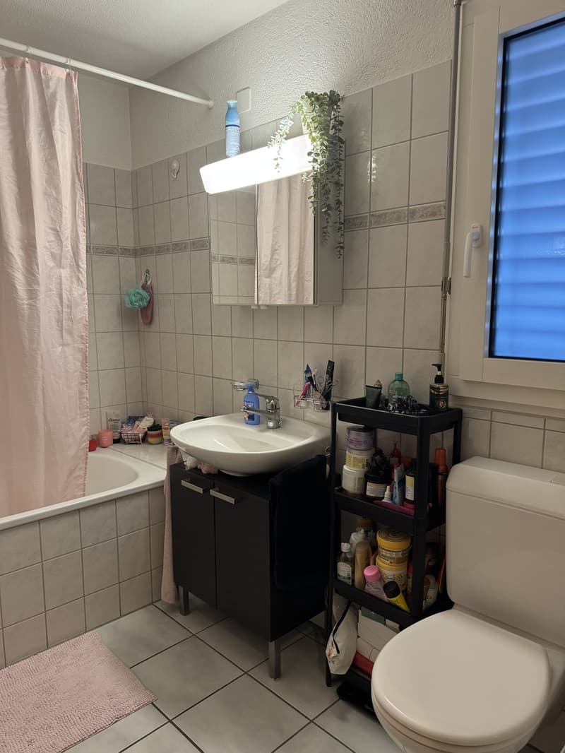 Nachmieter gesucht  schöne 2.5 Zimmer Wohnung in Mülligen (8)