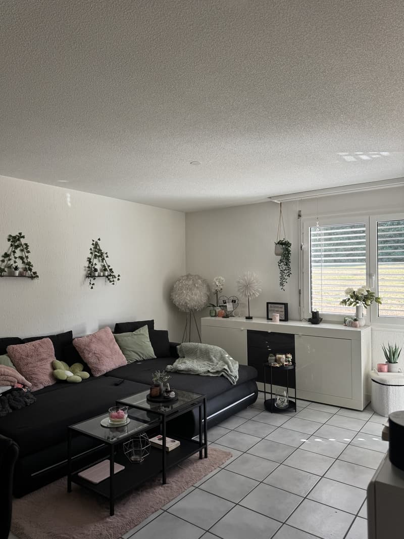 Nachmieter gesucht  schöne 2.5 Zimmer Wohnung in Mülligen (3)