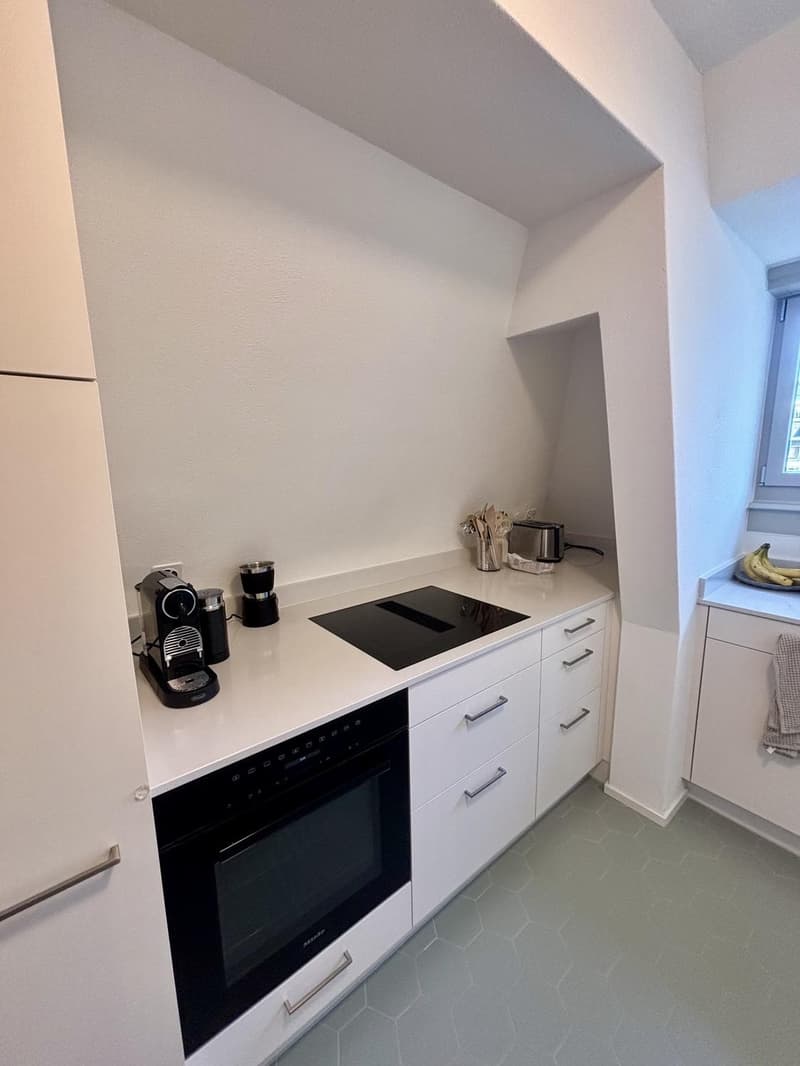 Charmante 3-Zimmer-Dachwohnung mit Terrasse am Helvetiaplatz - Nachmieter gesucht (7)
