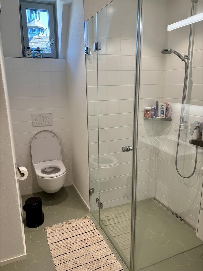 Charmante 3-Zimmer-Dachwohnung mit Terrasse am Helvetiaplatz - Nachmieter gesucht (8)