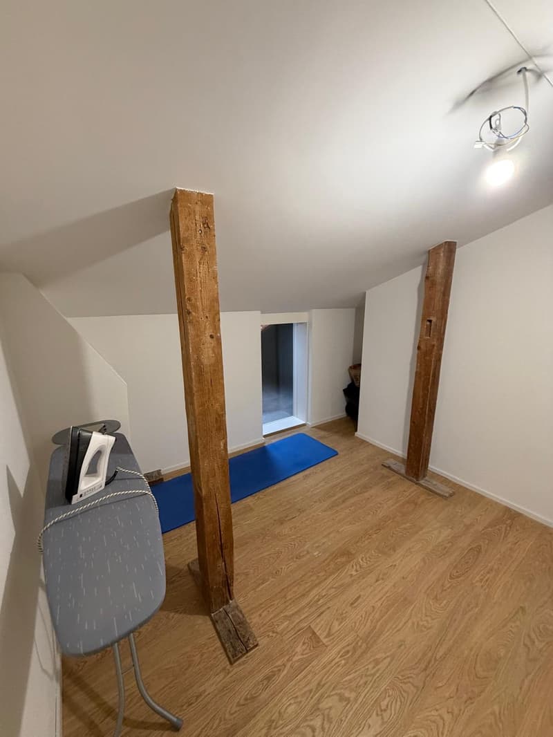 Charmante 3-Zimmer-Dachwohnung mit Terrasse am Helvetiaplatz - Nachmieter gesucht (11)