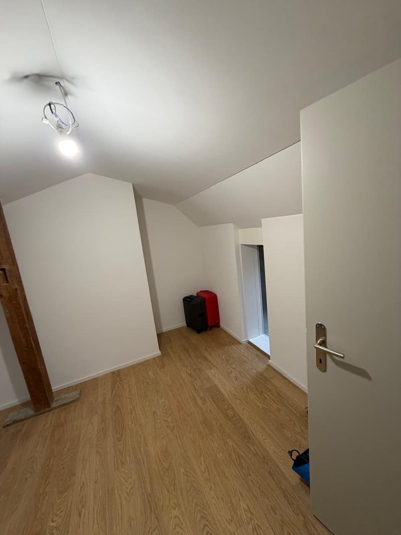 Charmante 3-Zimmer-Dachwohnung mit Terrasse am Helvetiaplatz - Nachmieter gesucht (10)