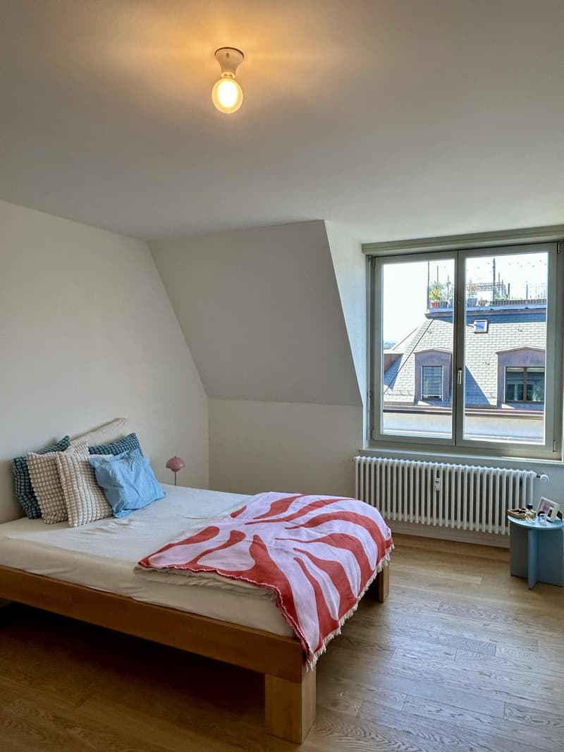 Charmante 3-Zimmer-Dachwohnung mit Terrasse am Helvetiaplatz - Nachmieter gesucht (2)