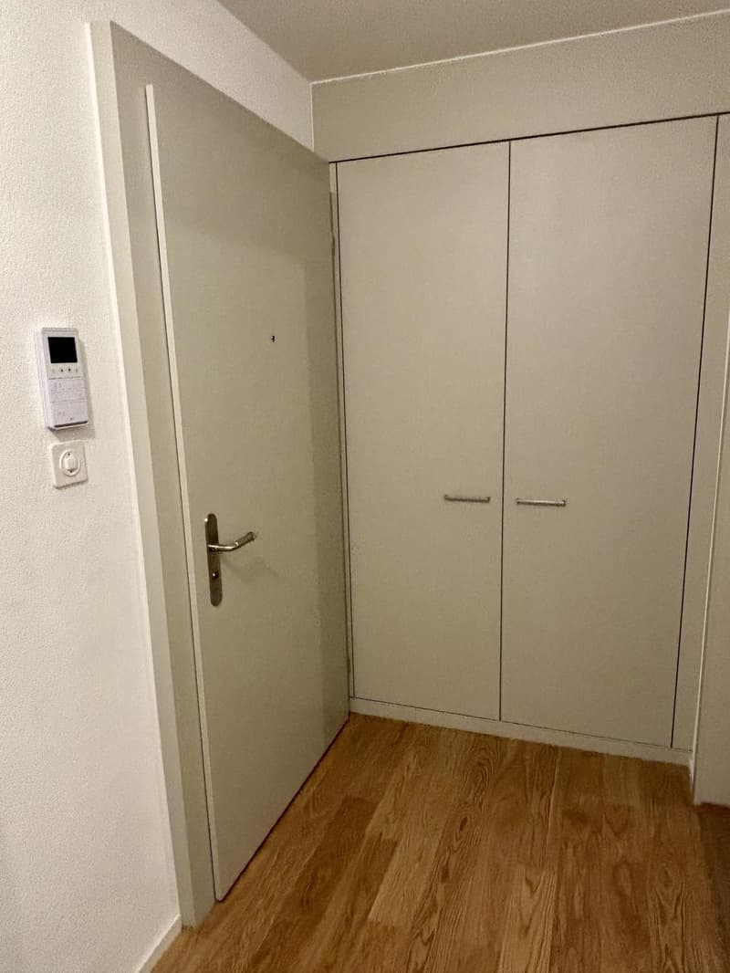 Charmante 3-Zimmer-Dachwohnung mit Terrasse am Helvetiaplatz - Nachmieter gesucht (13)
