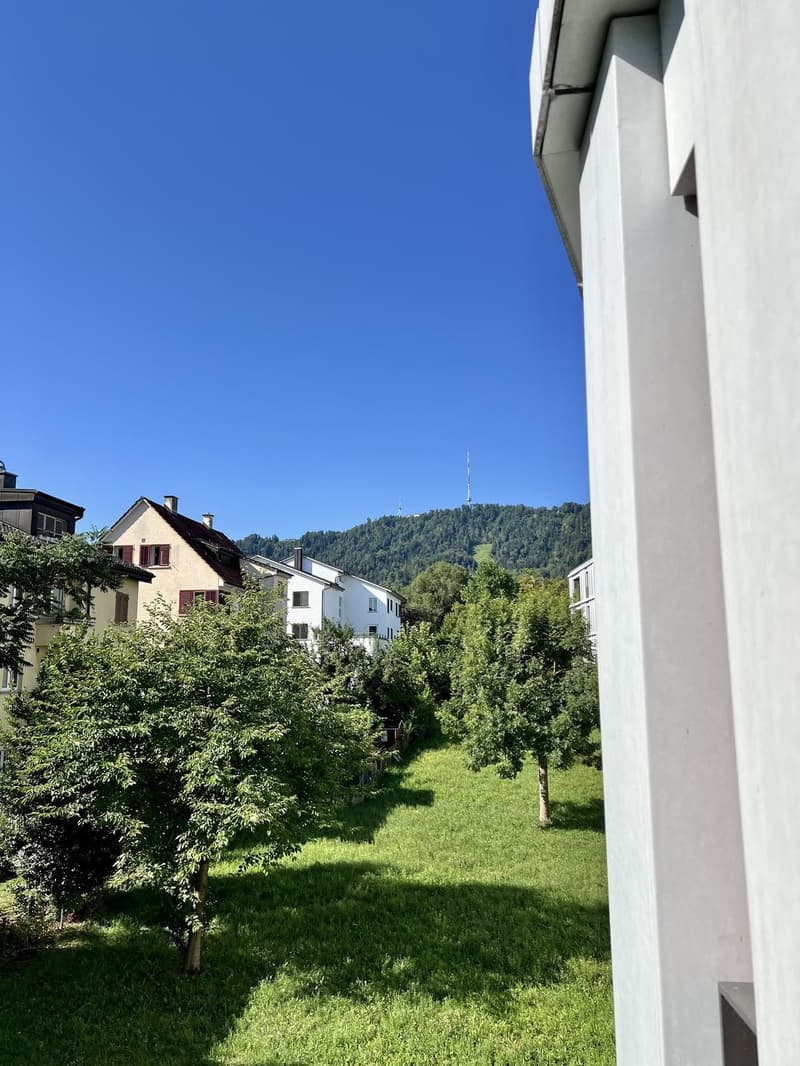Wunderschöne, helle 2.5-Zimmer-Wohnung in Zürich Wiedikon möbliert & flexibel zur Untermiete (5)