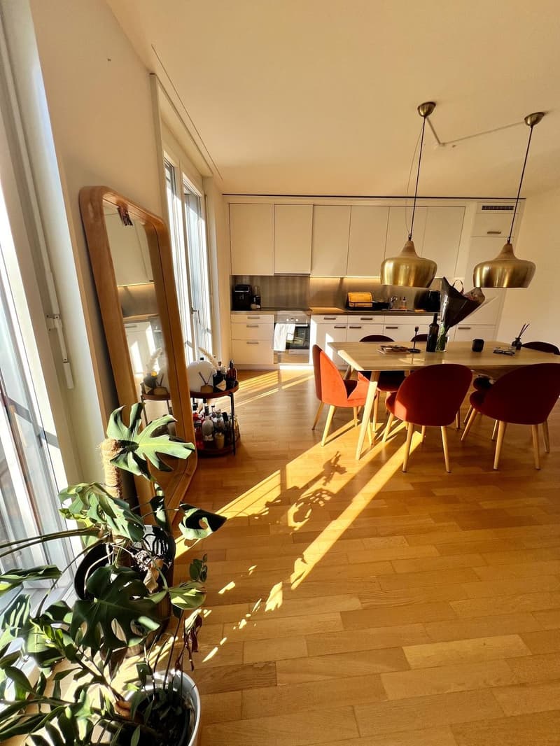 Wunderschöne, helle 2.5-Zimmer-Wohnung in Zürich Wiedikon möbliert & flexibel zur Untermiete (1)