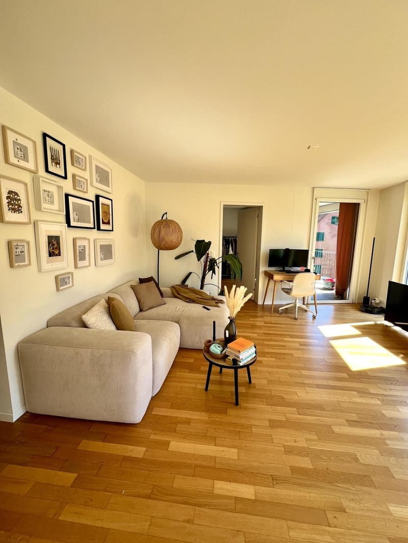 Wunderschöne, helle 2.5-Zimmer-Wohnung in Zürich Wiedikon möbliert & flexibel zur Untermiete (2)