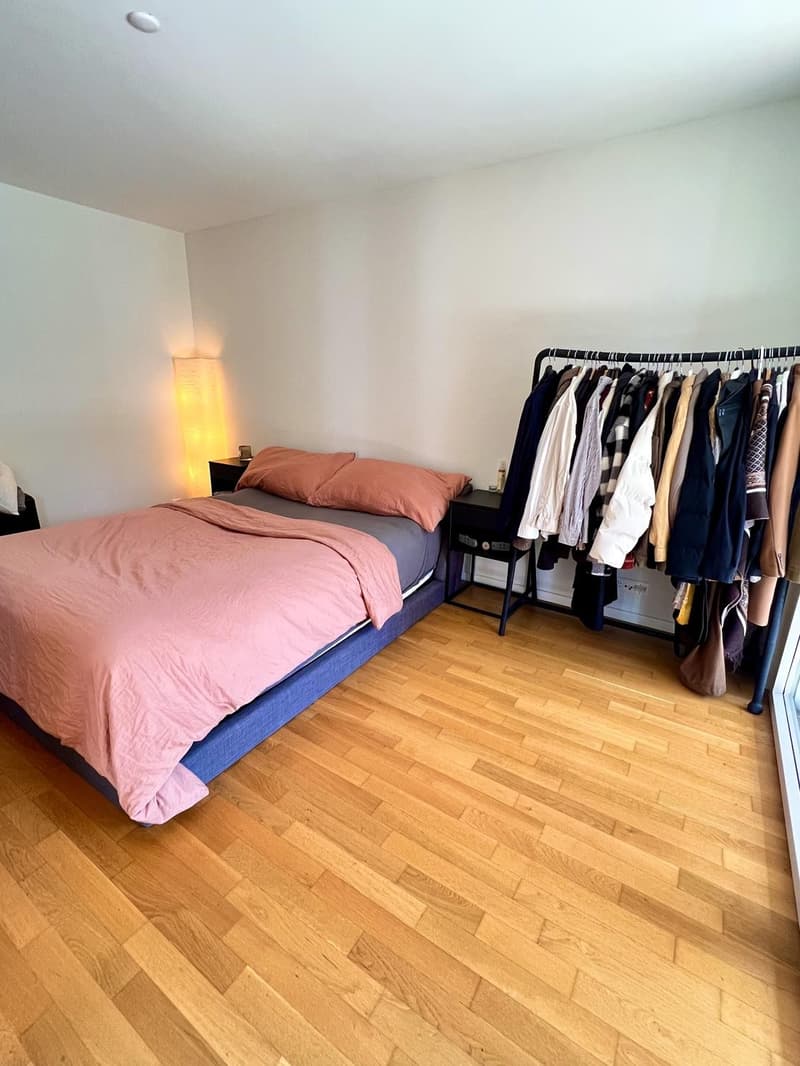 Wunderschöne, helle 2.5-Zimmer-Wohnung in Zürich Wiedikon möbliert & flexibel zur Untermiete (3)