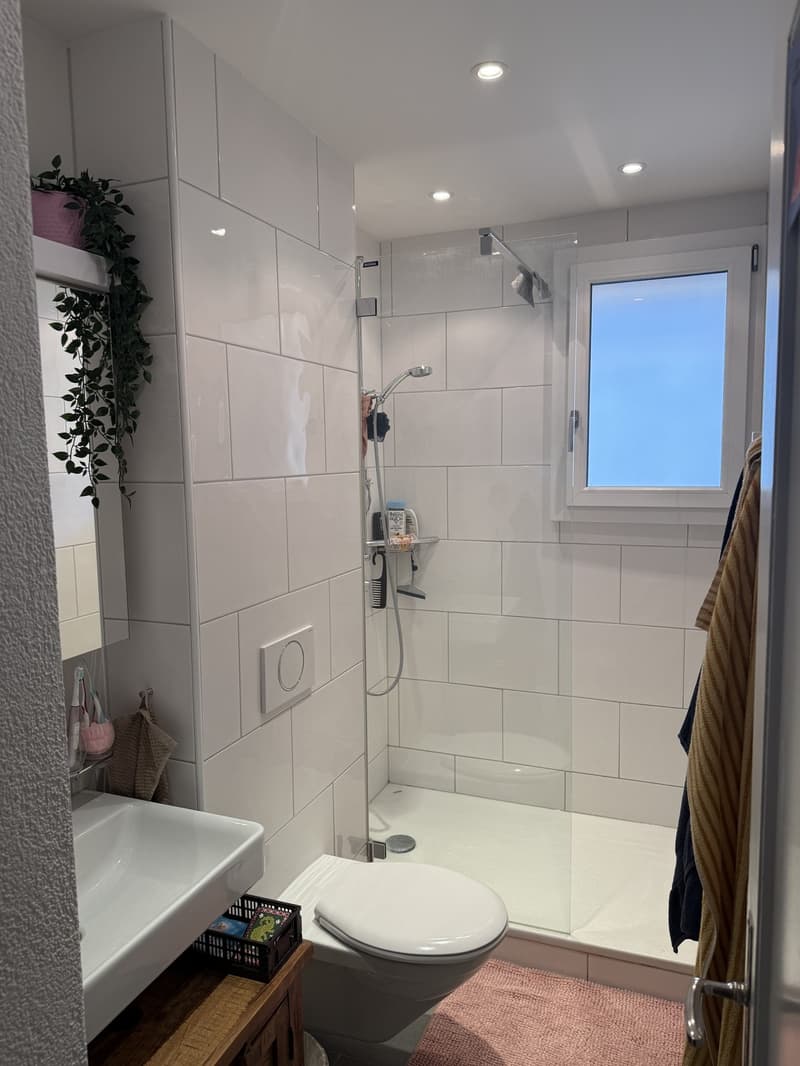 möbelierte 2 Zimmer Wohnung (befristet auf 3 Monate) (5)