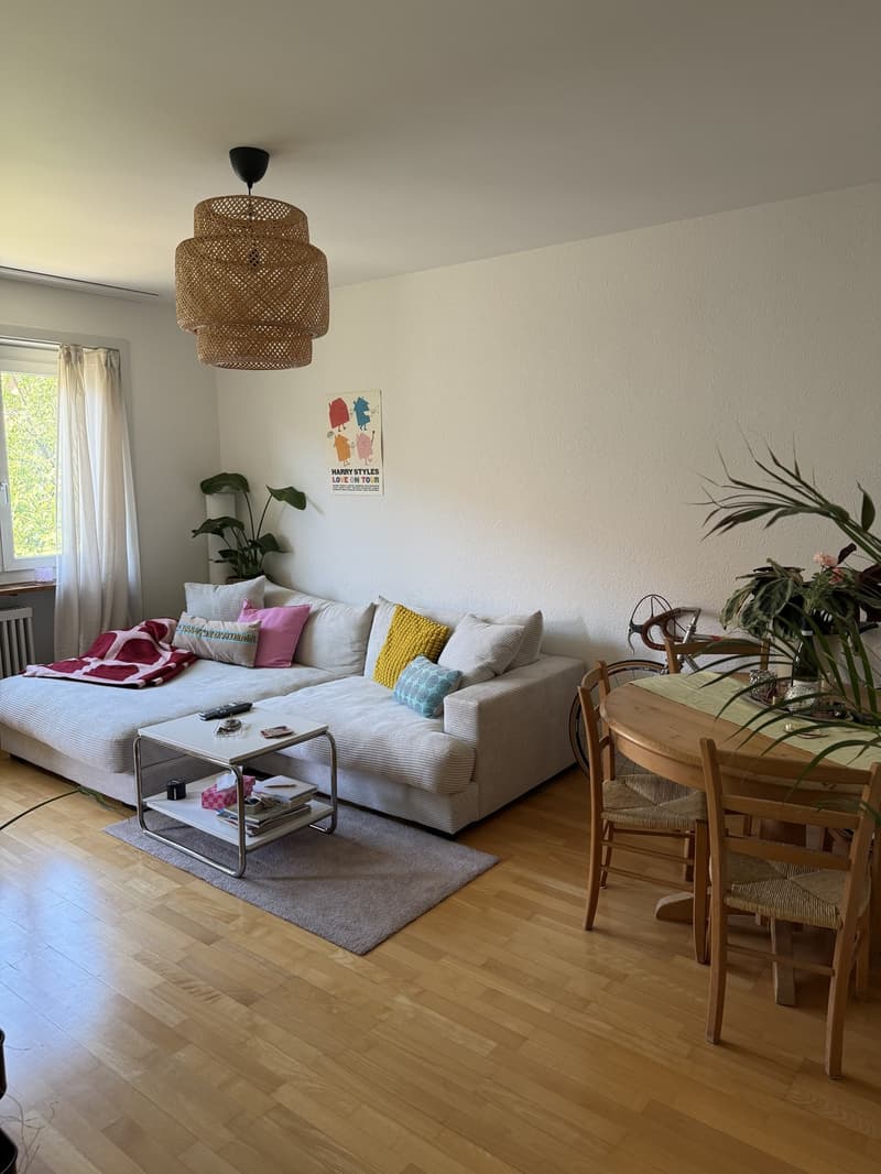 möbelierte 2 Zimmer Wohnung (befristet auf 3 Monate) (1)
