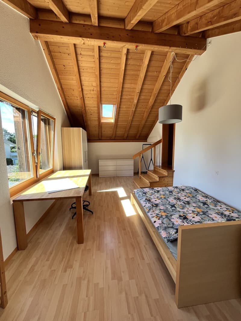 Grosses Dachzimmer in 4er WG / Spacious Attic Room in 4 Person Shared House (2)