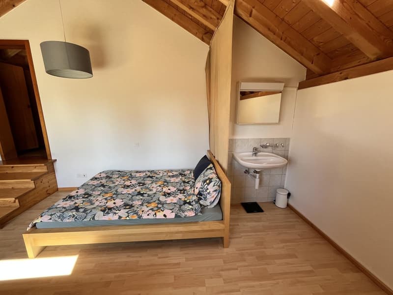 Grosses Dachzimmer in 4er WG / Spacious Attic Room in 4 Person Shared House (3)