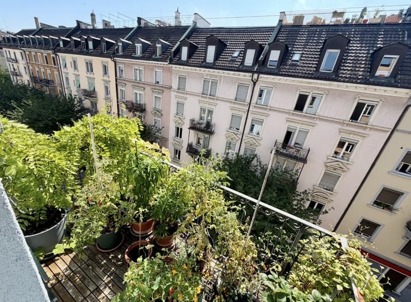 Zweizimmerwohnung im Herzen von Zürich, befristet & möbliert (7)