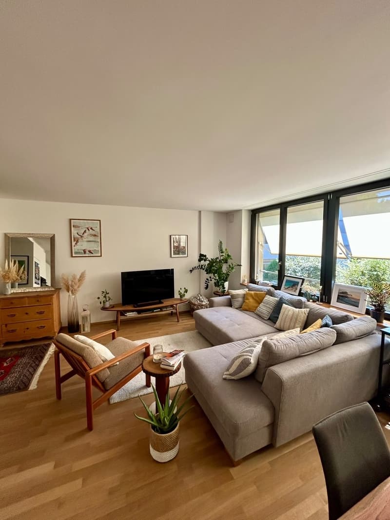 Duplexwohnung im Breitsch-Quartier (Stadt Bern) - Preis verhandelbar! (6)