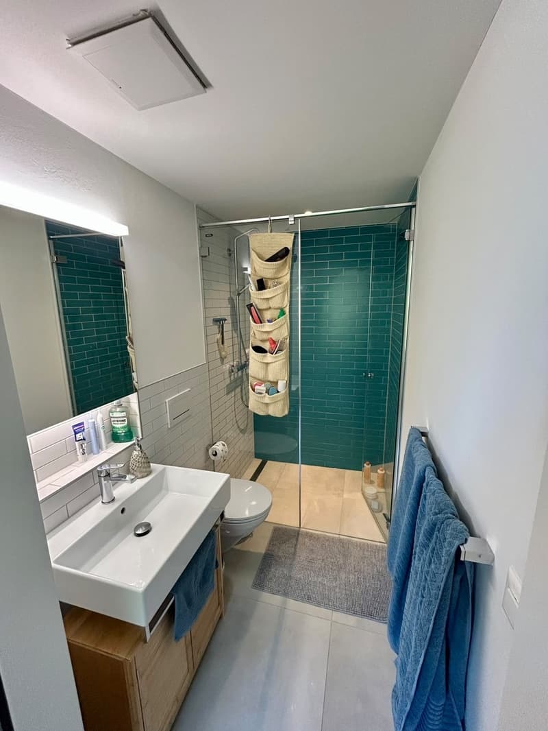 Duplexwohnung im Breitsch-Quartier (Stadt Bern) - Preis verhandelbar! (5)