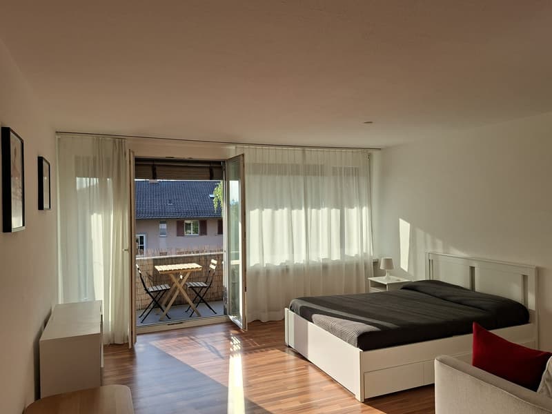 möblierte 1,5-Zimmer-Wohnung (2)