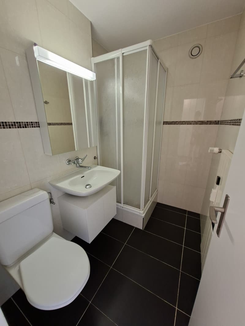 möblierte 1,5-Zimmer-Wohnung (7)