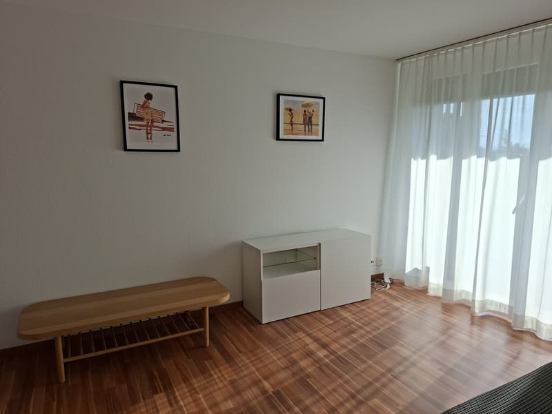 möblierte 1,5-Zimmer-Wohnung (4)