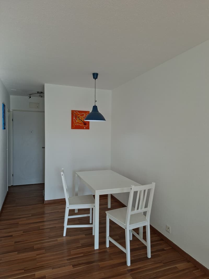 möblierte 1,5-Zimmer-Wohnung (3)