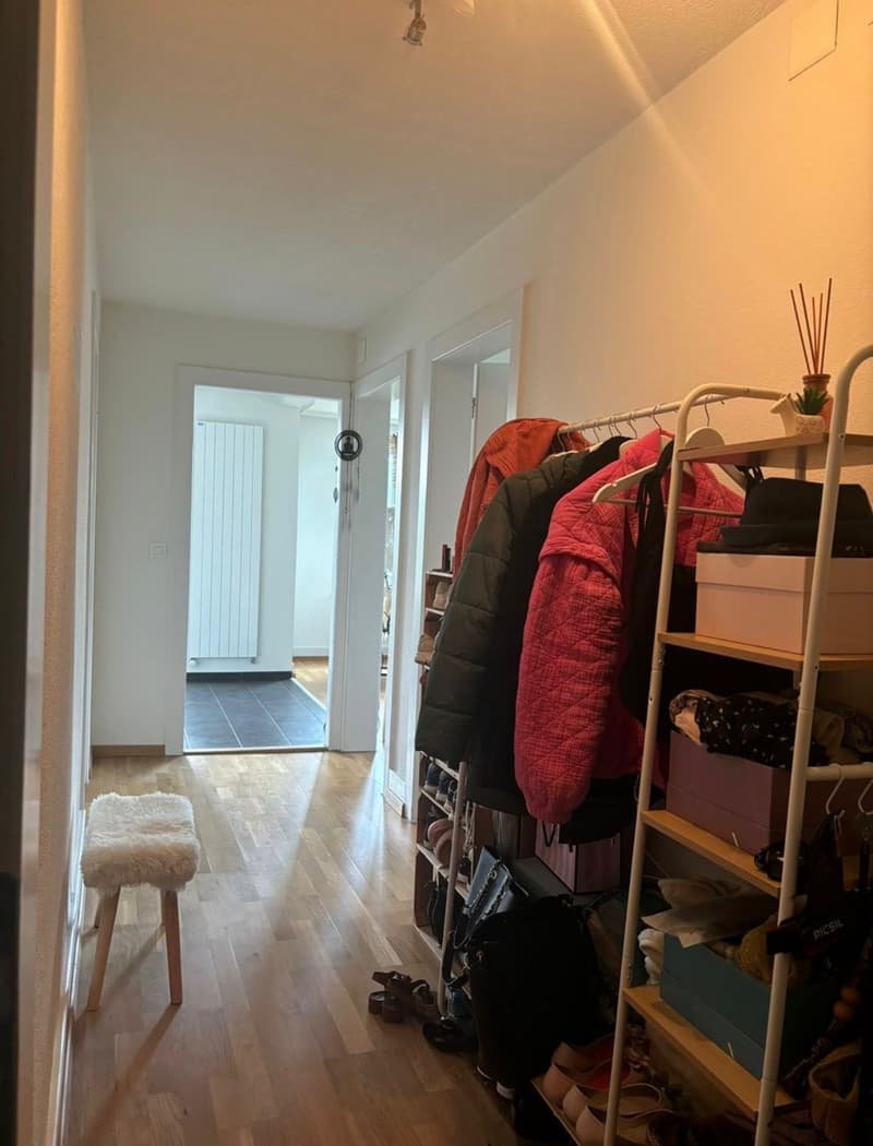 Furnished room in Zurich Wollishofen  available from 1 September (5)