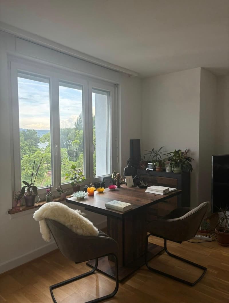 Furnished room in Zurich Wollishofen  available from 1 September (3)