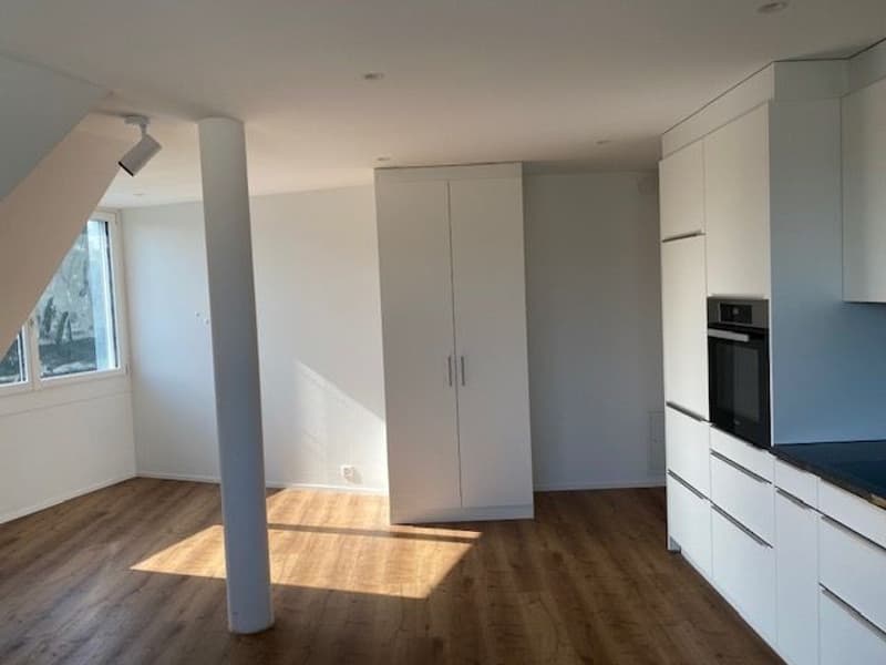 1-Zimmer-Neubauwohnung zur Zwischenmiete (Oktober-März) (2)
