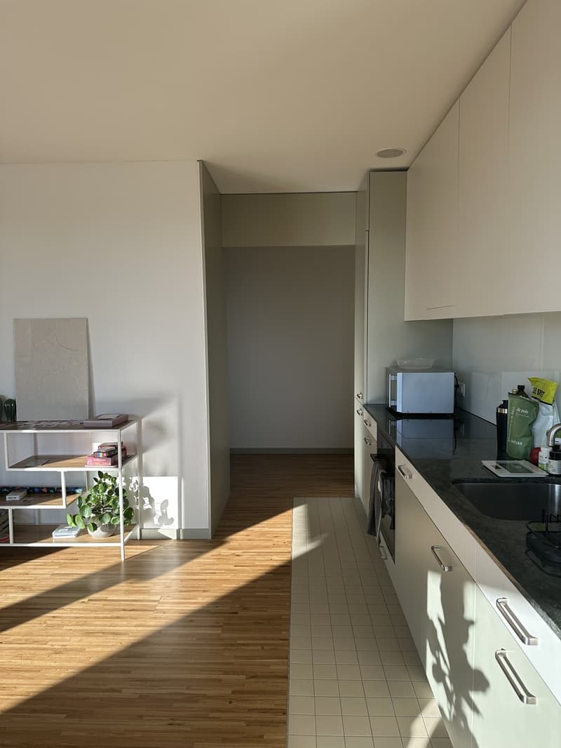 Moderne 3.5-Zimmer-Wohnung im Neubau in Dübendorf (3)