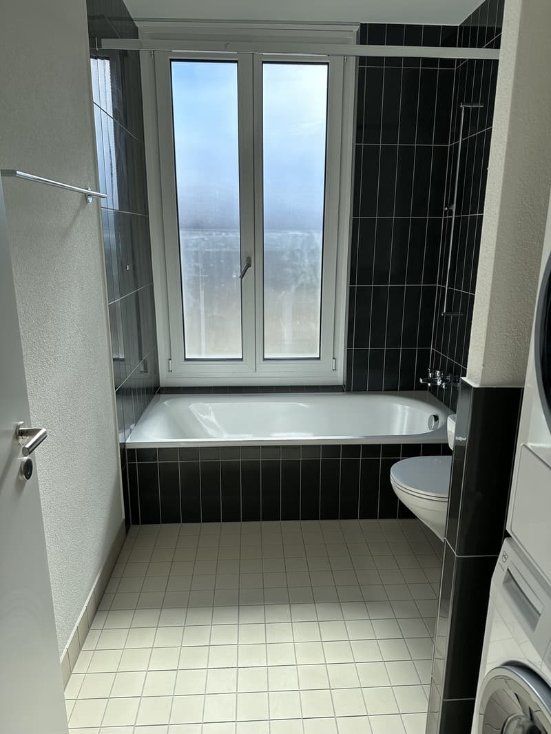 Moderne 3.5-Zimmer-Wohnung im Neubau in Dübendorf (4)