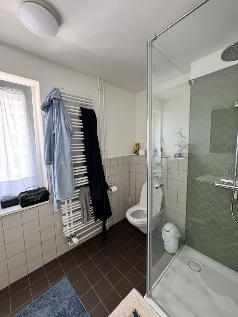 Spacious 2.5 apartment with terrace and cellar (6)