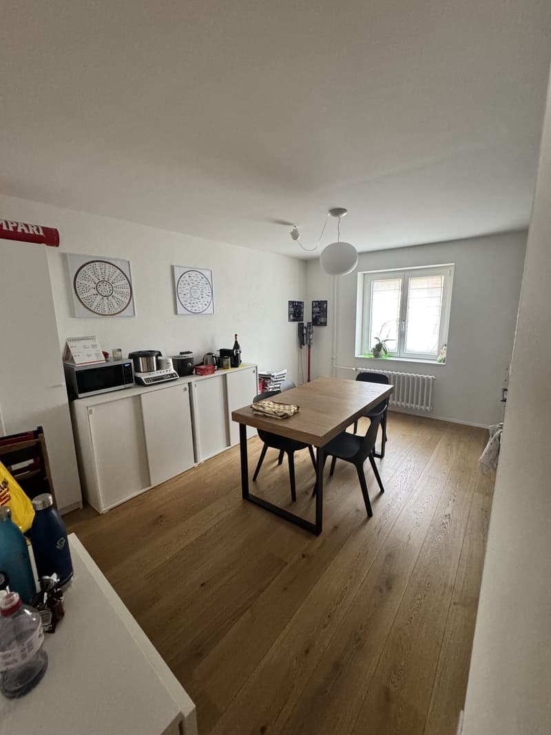 Spacious 2.5 apartment with terrace and cellar (8)