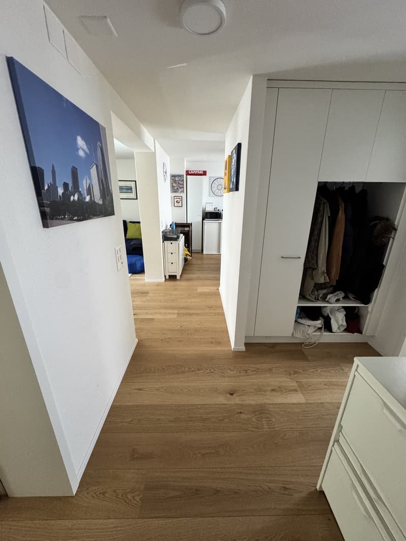 Spacious 2.5 apartment with terrace and cellar (3)