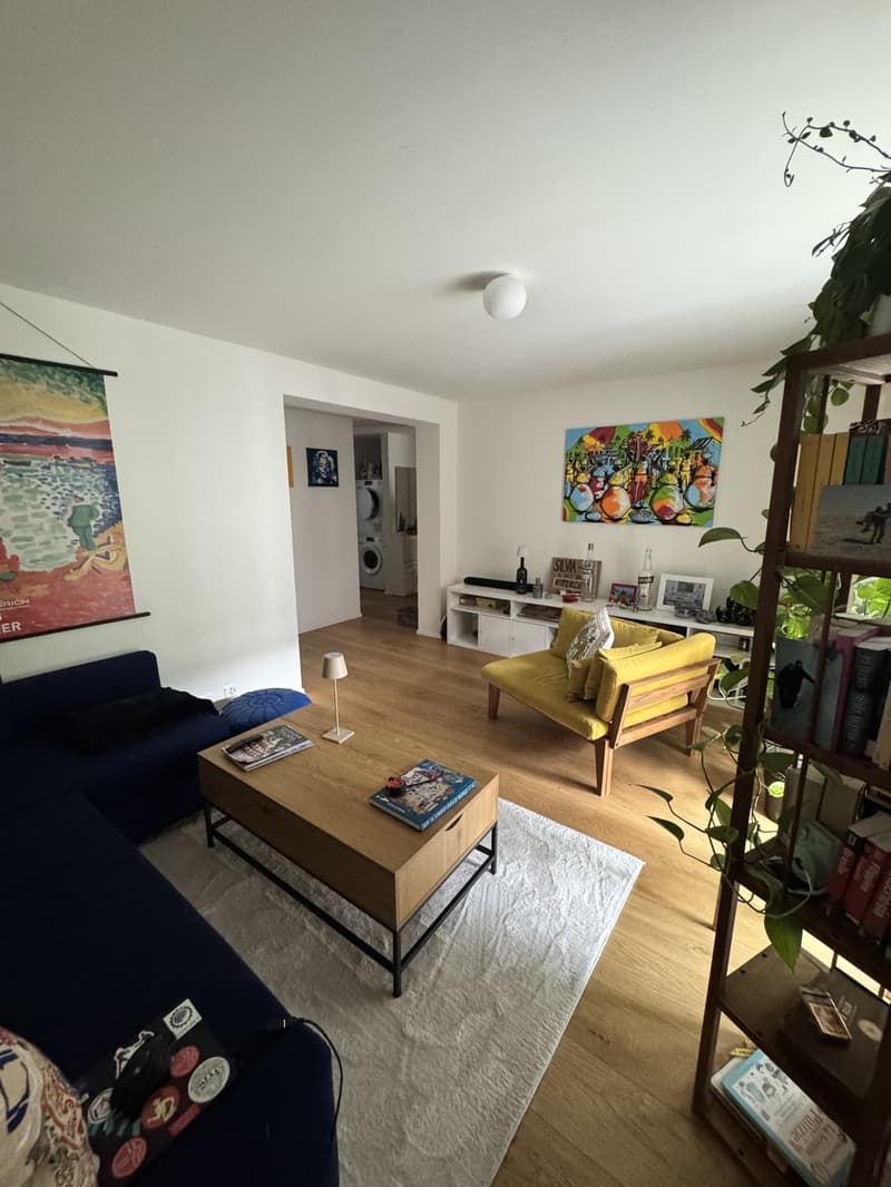 Spacious 2.5 apartment with terrace and cellar (2)