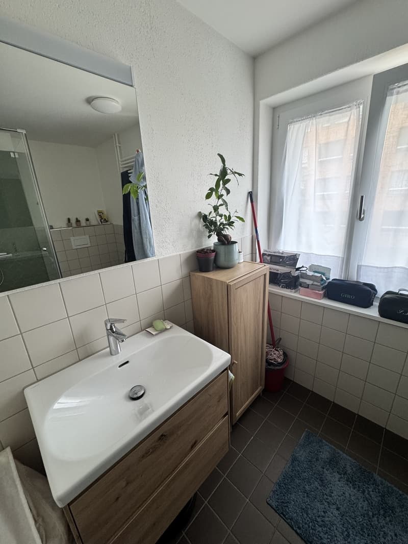 Spacious 2.5 apartment with terrace and cellar (5)
