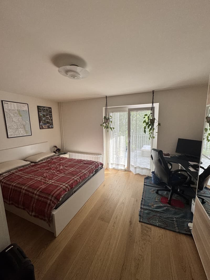 Spacious 2.5 apartment with terrace and cellar (7)