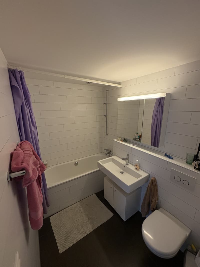 Befristet, Zimmer in 4er WG zu vermieten, Kreis 5 (8)