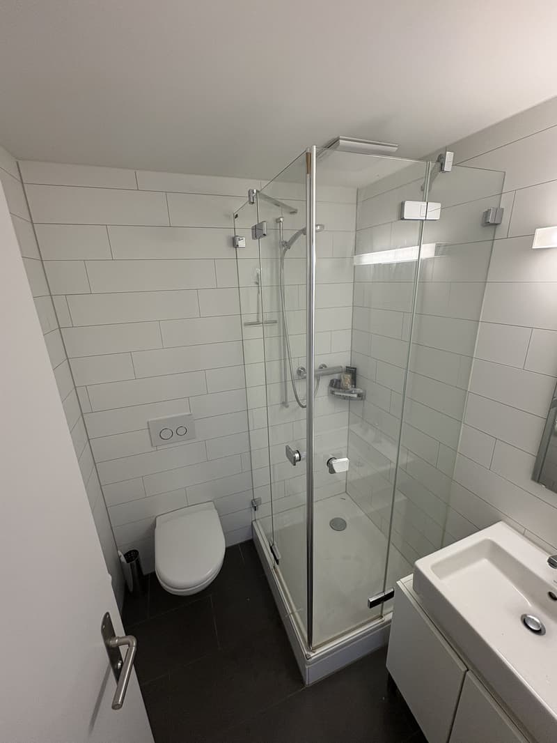 Befristet, Zimmer in 4er WG zu vermieten, Kreis 5 (7)