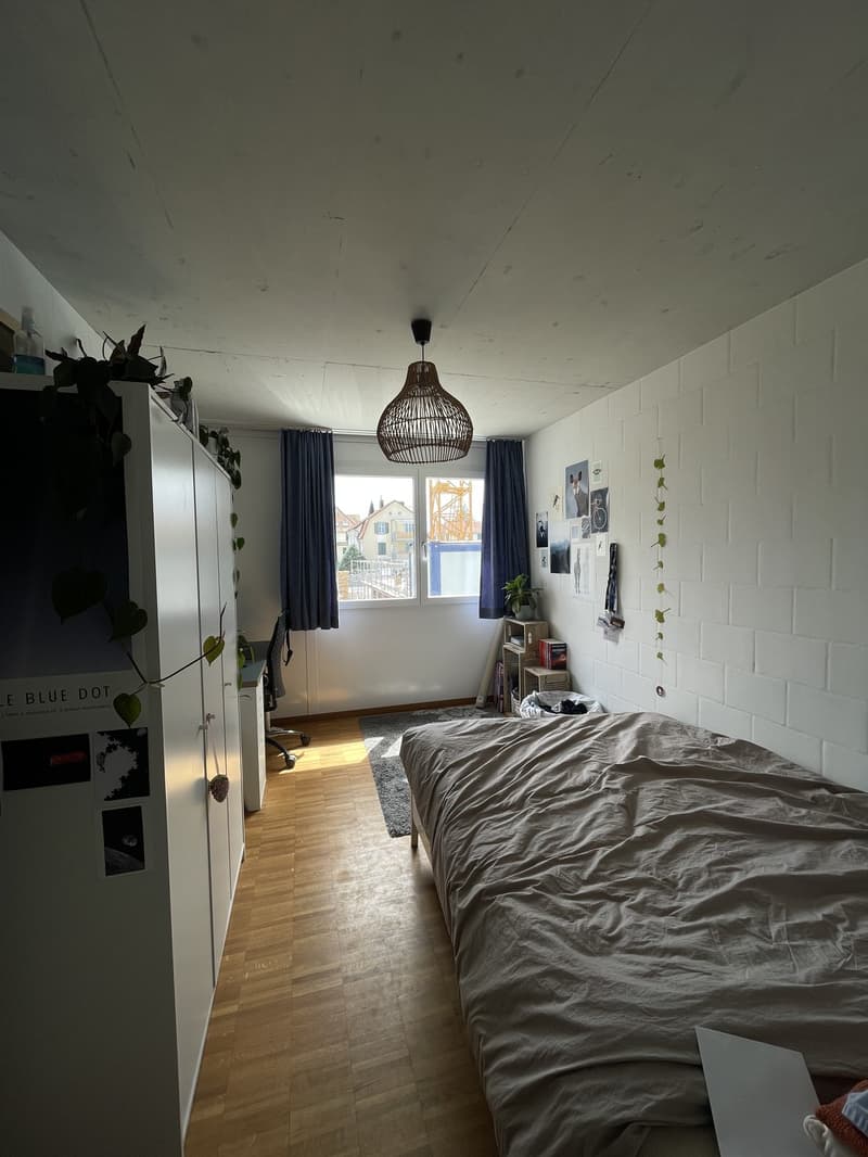 WG-Zimmer (3)