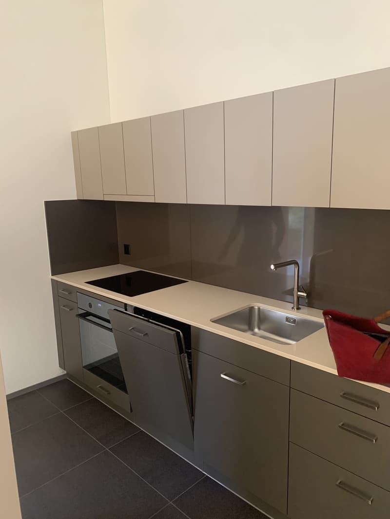 Sie sind auf der Suche nach einer schmucken Wohnung? (4)