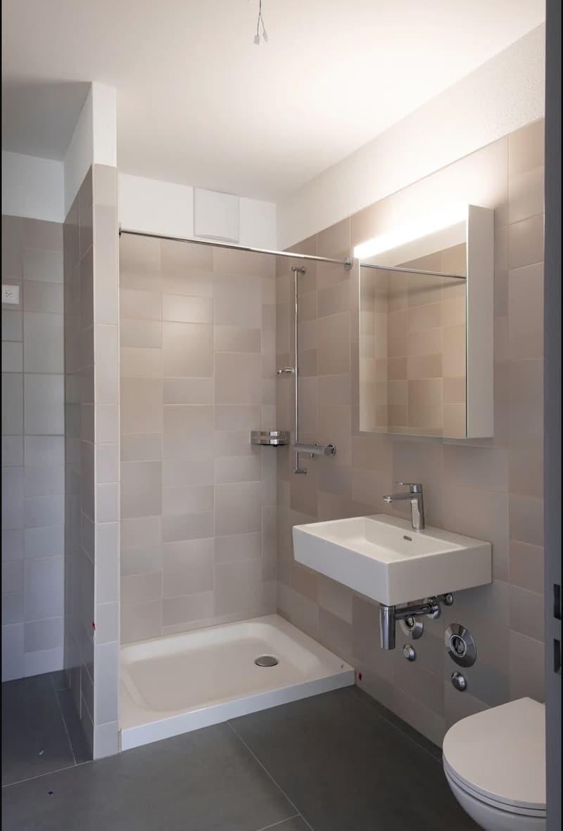 Sie sind auf der Suche nach einer schmucken Wohnung? (3)
