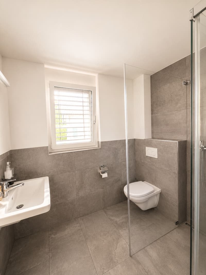 Wohnung in Widen zur Untermiete (4)