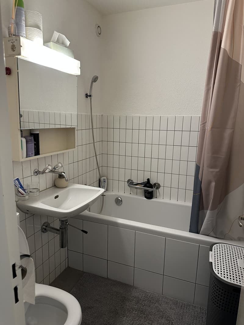 Nachmieter gesucht  1-Zimmer-Wohnung in Zürich (5)