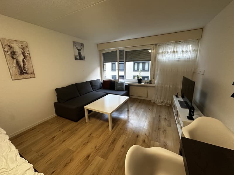 Nachmieter gesucht  1-Zimmer-Wohnung in Zürich (2)