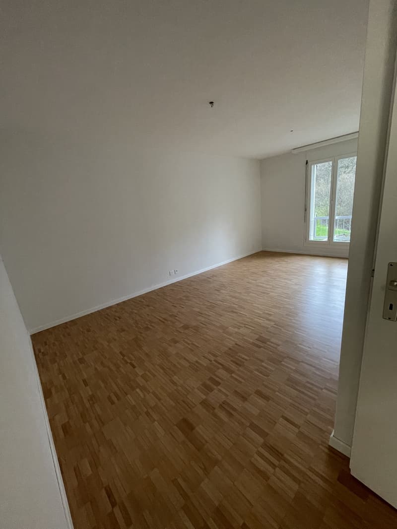 3 ½ Zimmer-Wohnung, 6006 Luzern (4)